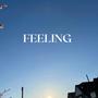 FEELING