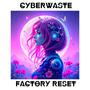 Factory Reset