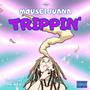 Trippin' (Explicit)