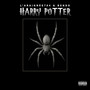 Harry Potter (Explicit)