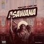 Asawana (feat. H Berry & Msd)