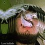 Lost Ballads