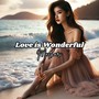 Love is wonderfull (Acoustic)