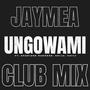 Ungowami (feat. Shiju & Kayly) [Club Mix]