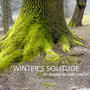 Winter's Solitude (Piano Version)
