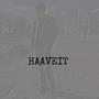 Haaveit