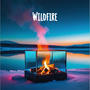 Wildfire