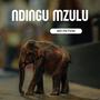 Ndingu Mzulu (Explicit)