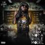 I AM NOT A ROLE MODEL (Explicit)