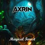 Magical Forest