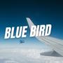 Blue Bird