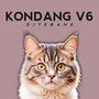 Kondang, Vol. VI