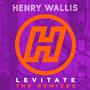 Levitate (The Remixes)