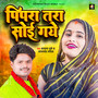 Pipra Tara Soi Gayo