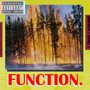 Function