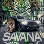 SAVANA (Explicit)