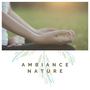 Ambiance nature: Sons de la nature et musique calme pour le soulagement du stress