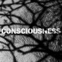 Consciousness