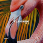 Flamingo Vol.1