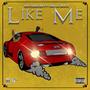 Like Me (feat. RDG Lil Snate) [Explicit]