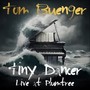 Tiny Dancer (Live)