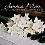 Ameca Mea - Piano & Jazz Mix For Valentine's Day