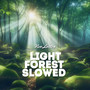 Light Forest Slowed