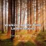 Walking on the Time-Laden Leaves