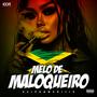 Melô de Maloqueiro (Reggae Remix)