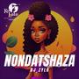 Nondatshaza