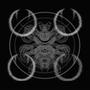 SYNEMA (Explicit)