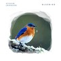Bluebird (feat. Willie Davis)