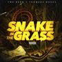 Snake in the Grass (feat. Thoweda Rosas) [Explicit]