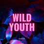 Wild Youth