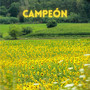 CAMPEÓN