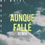 Aunque Fallé (remix)