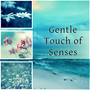 Gentle Touch of Senses - The Best Music for Restful Sleep, Relaxing Background Music, Soothing Sounds & Beautiful Piano Music, Stress Relief