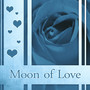 Moon of Love - Time for Fun, Bed Cases, Successful Sex, Wonderful Night, Exciting Feeling, Passionately and Alluring