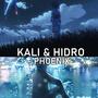 Phoenix (feat. hidro)