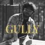 Gully