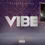 VIBE (Explicit)