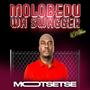 Molobedu Wa Swagger 2.0