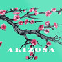 ARIZONA