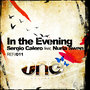 In The Evening (feat. Nuria Swan)