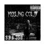 Feeling Cold (Explicit)