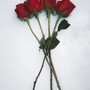 Forever With You