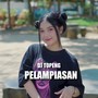 Pelampiasan (Izin)