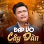 Đập Vỡ Cây Đàn