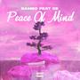 Peace of Mind (feat. CE) [Explicit]
