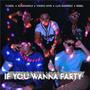 If you wanna party (feat. Yuwel, Kusanagui, Mario Ams & Rebel)